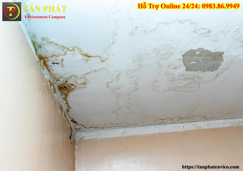 Nấm mốc ngấm uống sàn trần nhà