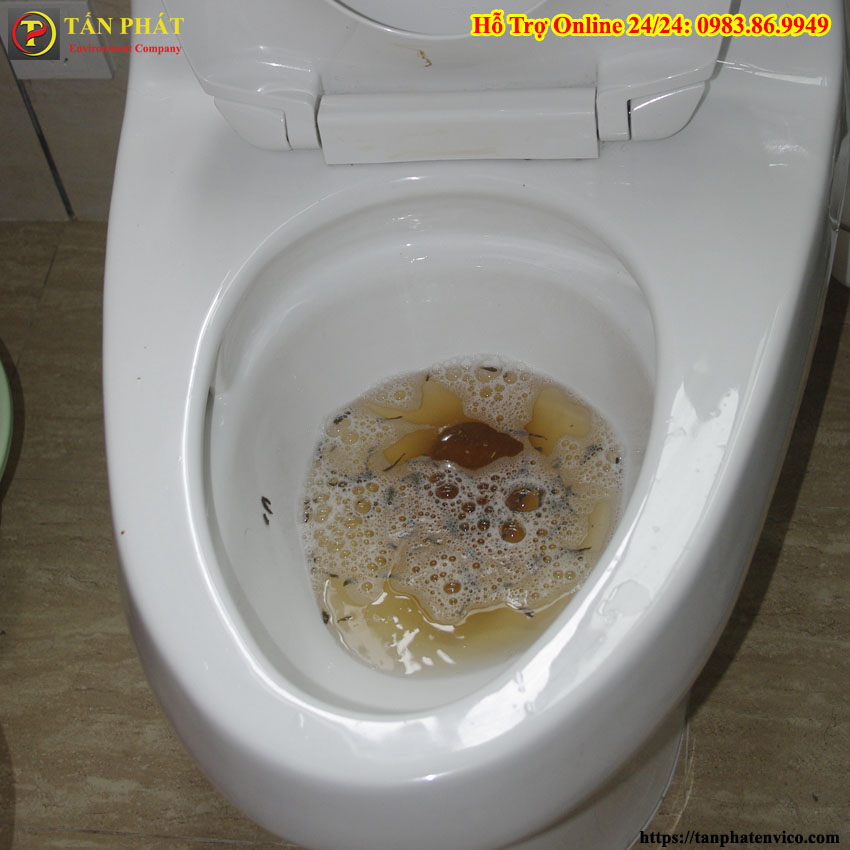 nguyên nhân bồn cầu bị tắc do giấy vệ sinh