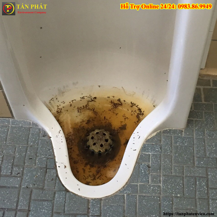 thông tắc bồn tiểu nam tại thanh xuân