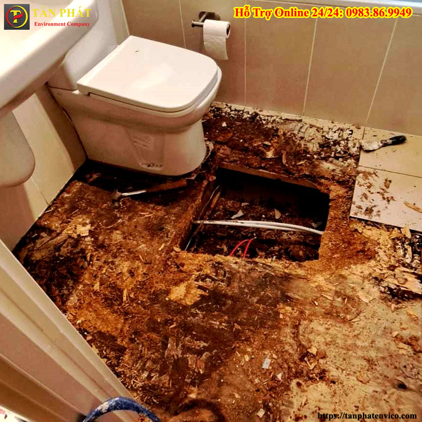 nhà vệ sinh trào ngược chất thải