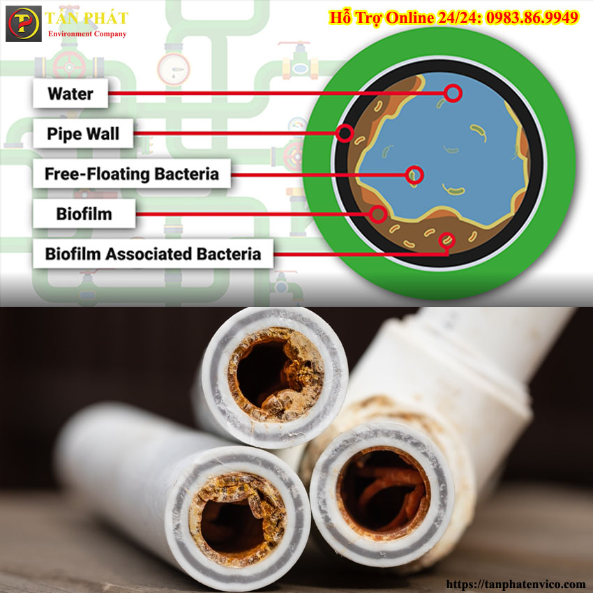 tác hại khi không sục rửa đường ống nước định kỳ