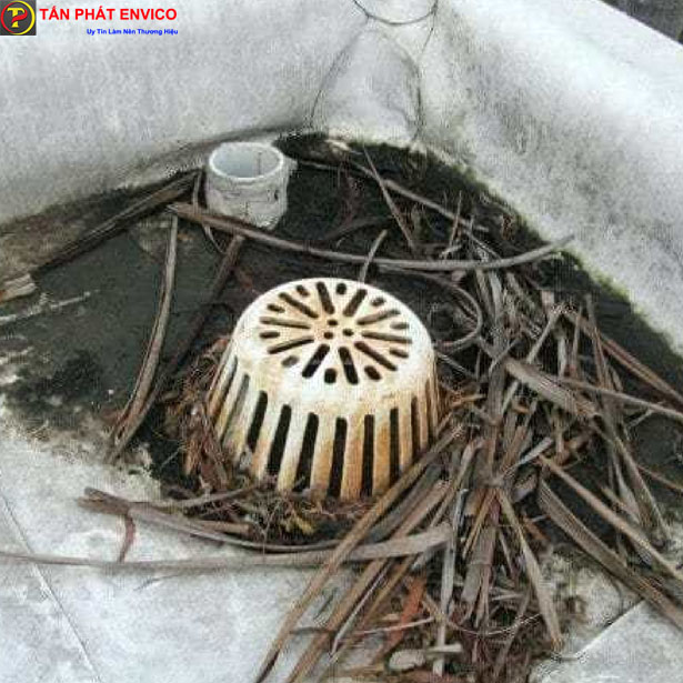 Tấn Phát Envico thông tắc cống sân thượng