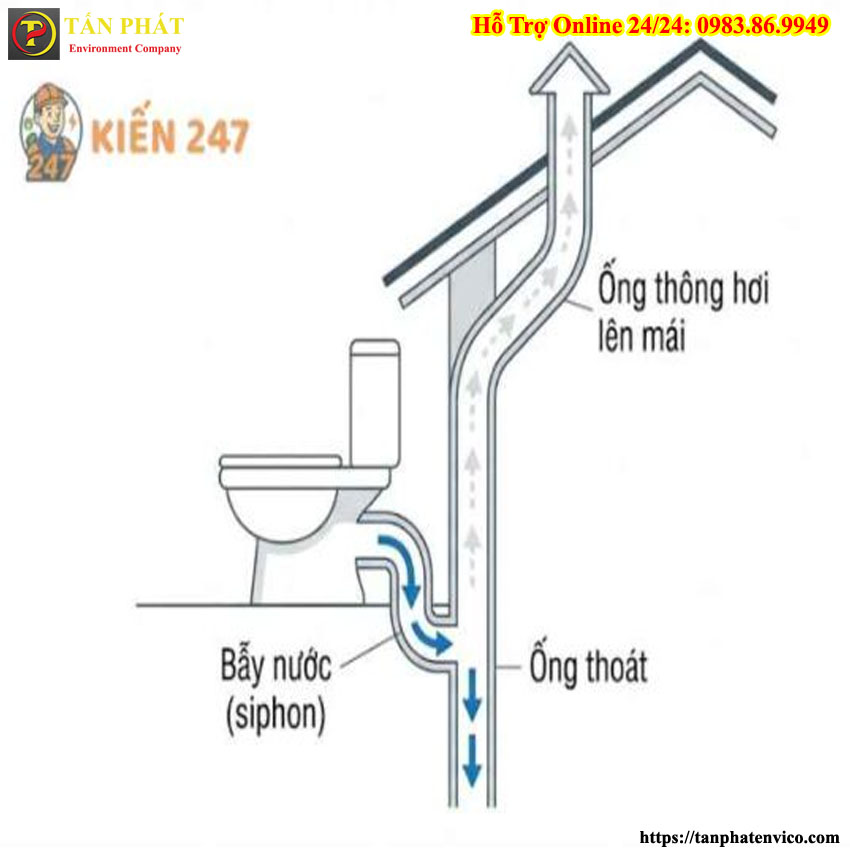 cấu tạo đường ống xả bồn cầu