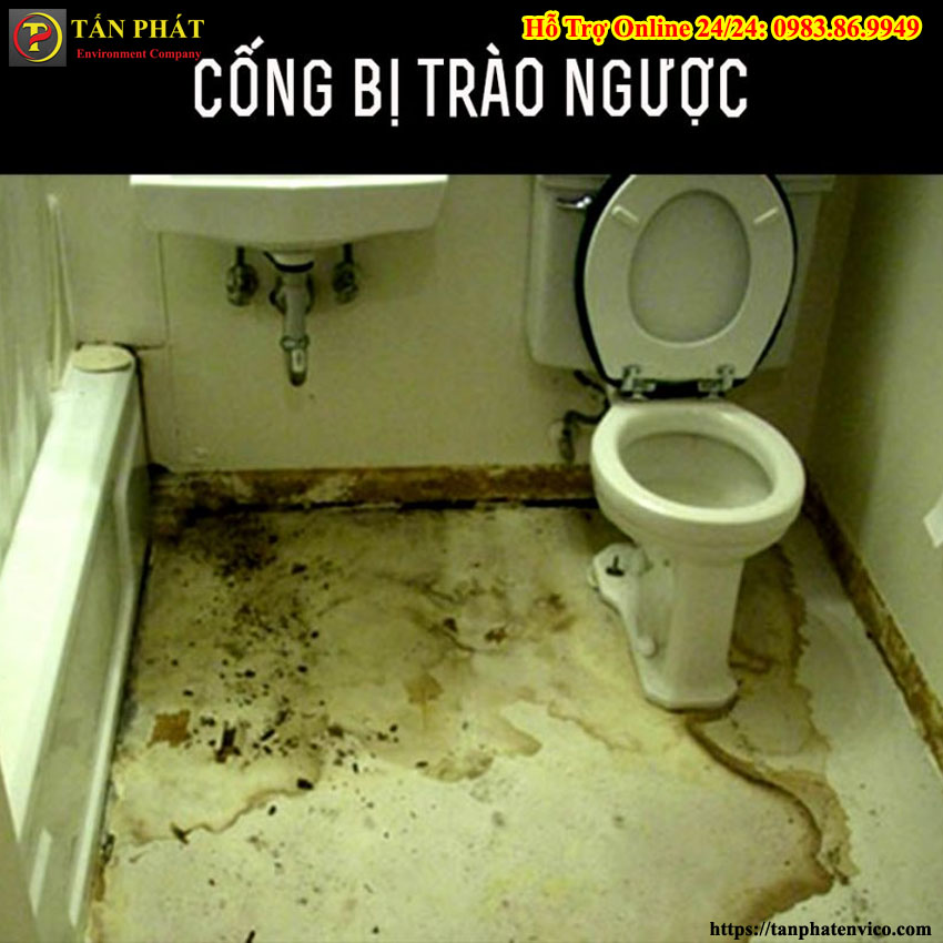 cống bị trào ngược