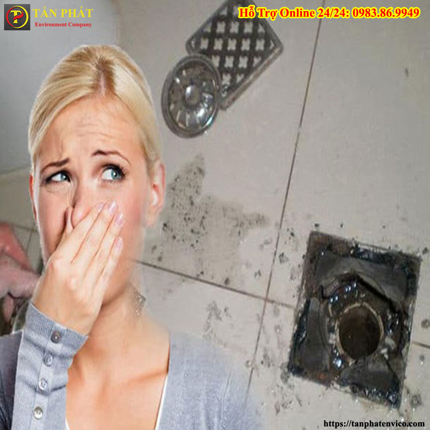 cống có mùi chuột chết