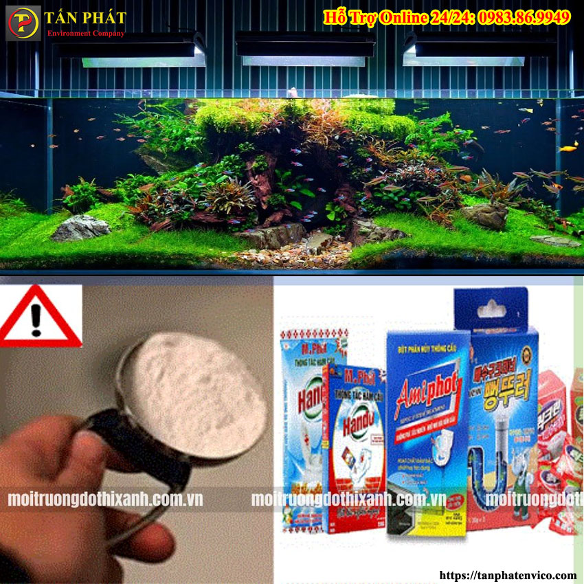 không dùng bột thông cống cho hồ cá thủy sinh