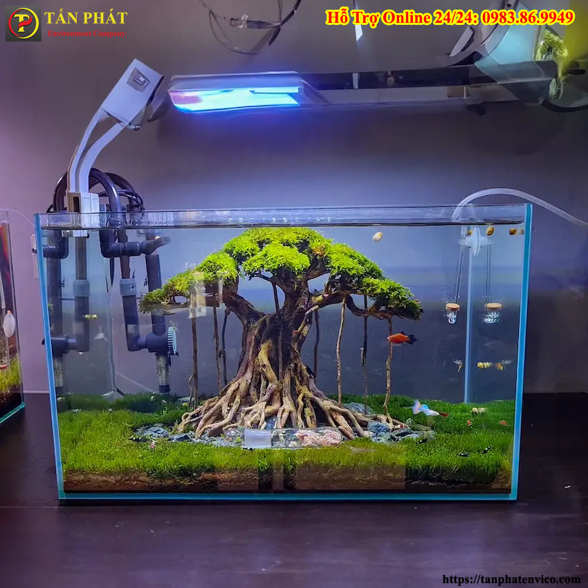máy hút đáy hồ cá thủy sinh
