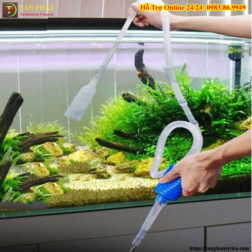 xử lý tạm thời khi hồ cá bị tắc